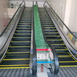 Commercial passenger escalator moving walkway by home lift elevator