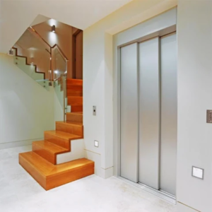Shaftless pitless elevator by home lift elevator