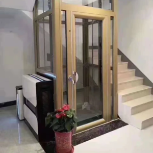 Best home shaftless home elevator by home lift elevator