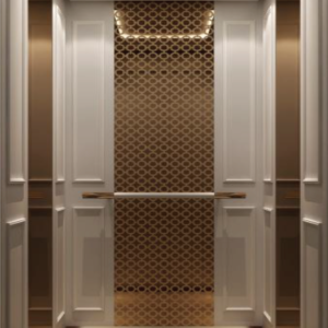 High Quality Hotel Lift by Home Lift Elevator