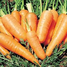 Carrot half portion ( medium sizes)