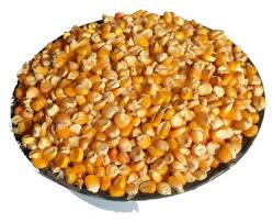 Corn for making Pap (per mudu)