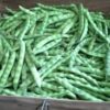 Green Beans (half portion)