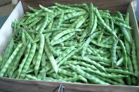 Green Beans (half portion)
