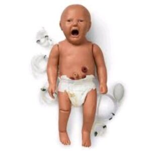 Hospital CPR Manikin
