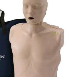 CPR Manikin Body Model