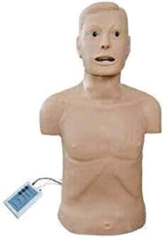 Rubber Half Body Manikin