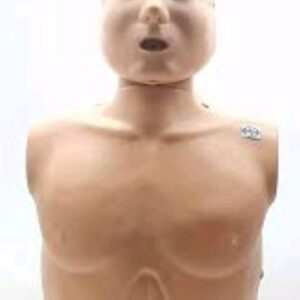 CPR Adult Manikin Model