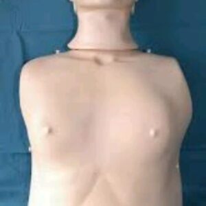 Adult Manikin CPR