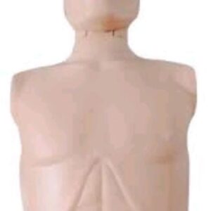 Male Manikin CPR