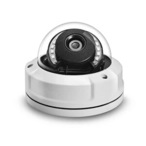 Dome surveillance system