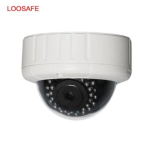 Monitor detector dome camera