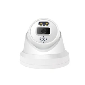 Dome surveillance camera