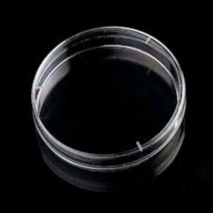 Medical Petri Plate