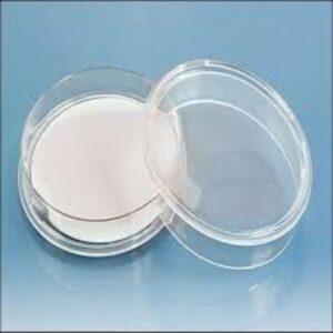 Disposable Petri Dish