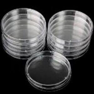 Culturing Plate