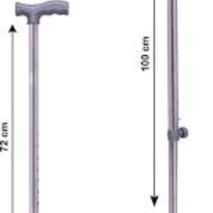 Walking Stick 4 Leg