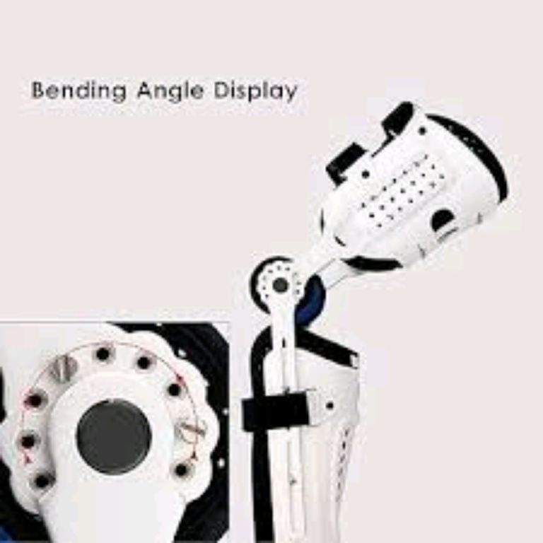 Leg Support Orthosis