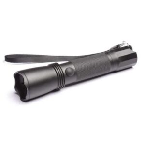 Stun gun with flashlight