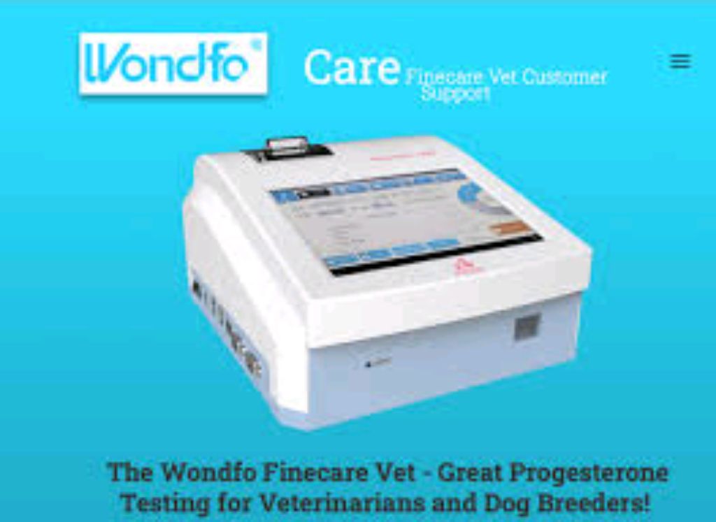 Fluorescence Immunoassay Machine