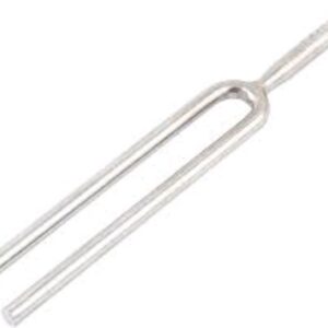 Generic Tuning Fork