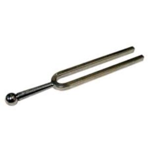 Tuning Fork Hospital