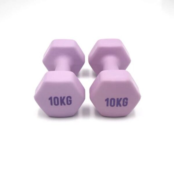 2 Pairs Of 10kg Dumbbell