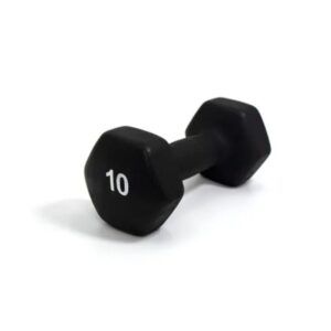 Generic 2 PCs Of 10kg Dumbbell