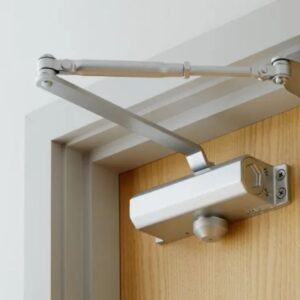 Door check device