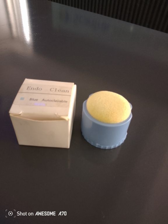 Dental Round Endo Clean