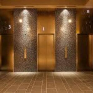 Luxurious Business Hotel Lift