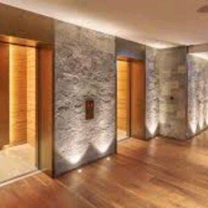 High Speed Passenger Hotel Elevator