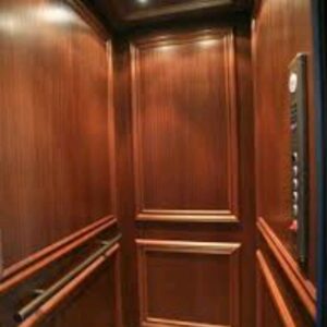 Hotel Passenger Elevator