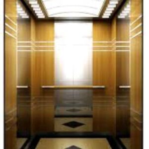 Electric Hotel Elevator