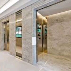 Luxury Hotel Passenger Elevator