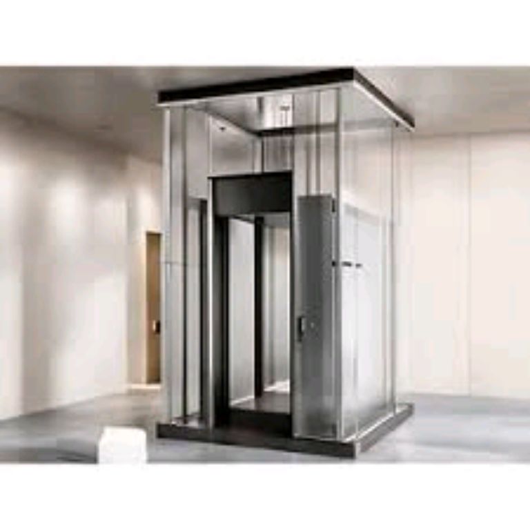 Pitless Residential Home Elevator