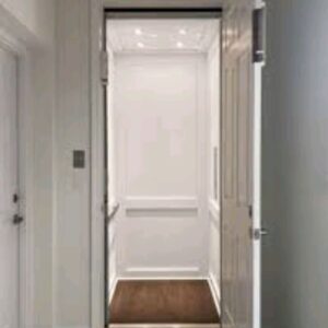 Silent Pitless Mini Elevator