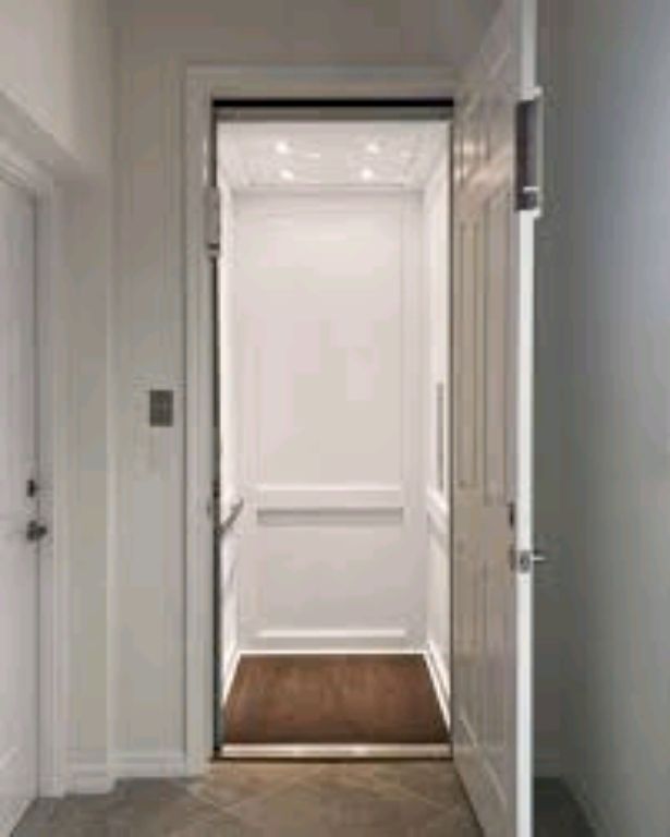 Silent Pitless Mini Elevator