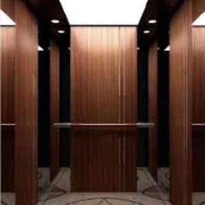 Interior wooden Elevator