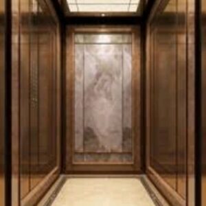 Luxurious elevator with wooden Design