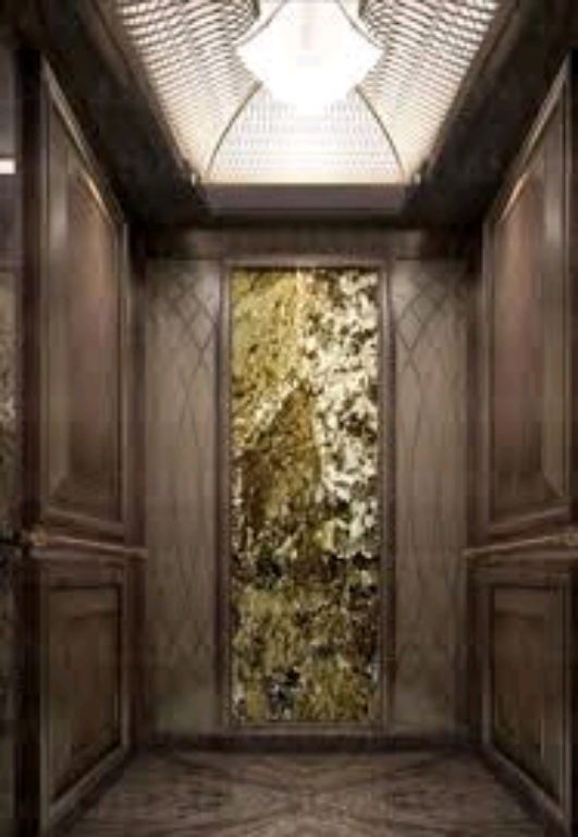 China wood luxury Decoration passenger Elevator
