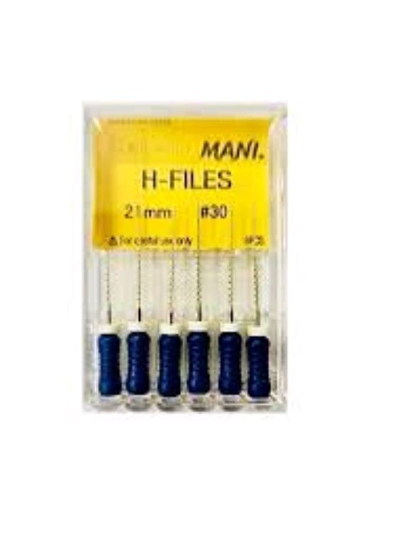 Stainless Steel H File Mani