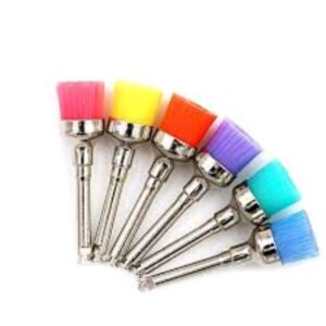 Colorful Prophy brush