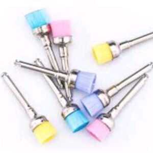 Prophy brush colourful dental
