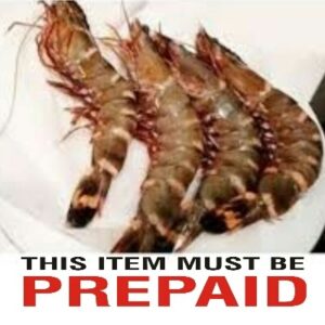 Frozen Tiger Prawn 2Kg (Jumbo 8-10 pcs, 24-26 cm)