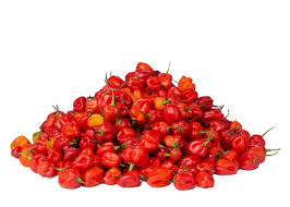 Pepper (Atarodo) half Portion