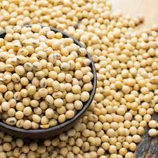 Soya Beans (per mudu)