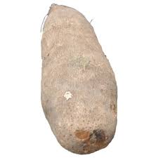 Yam (1 White Yam)