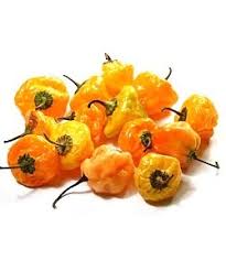 Yellow Pepper (Atarodo) per portion Blended