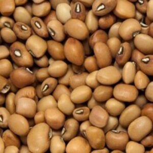 Beans Oloyin (10kg)